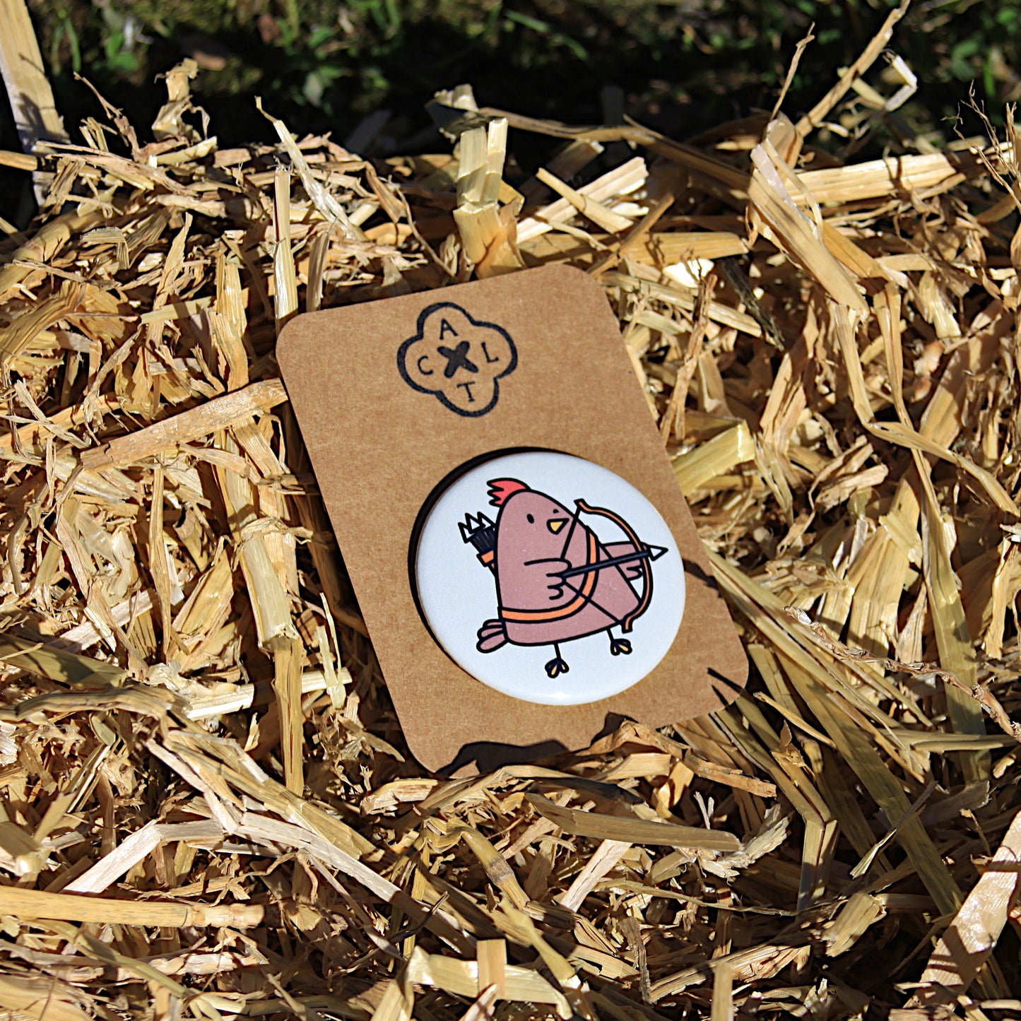 Chicken Squad Pin Badge (random 1 out of 6)