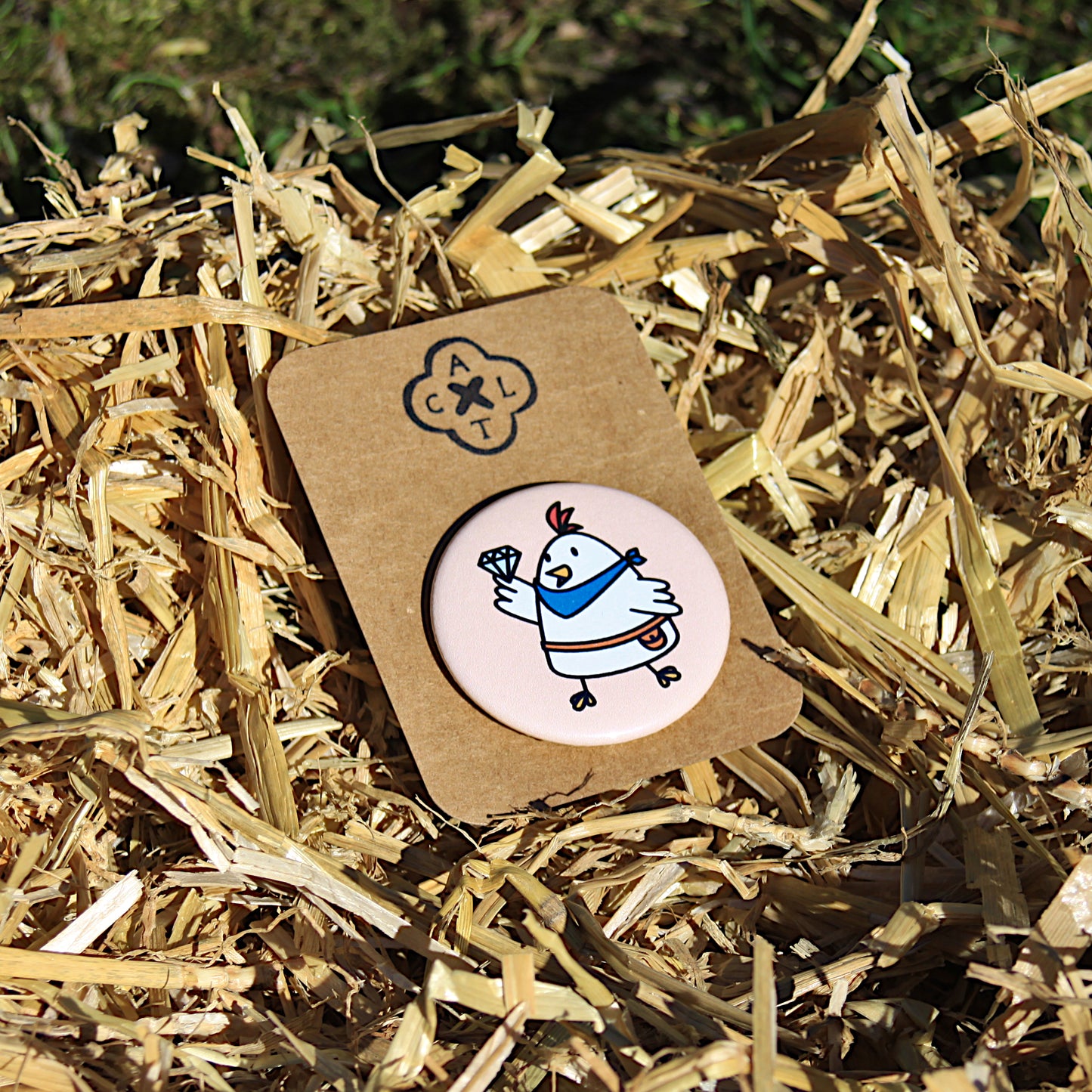 Chicken Squad Pin Badge (random 1 out of 6)