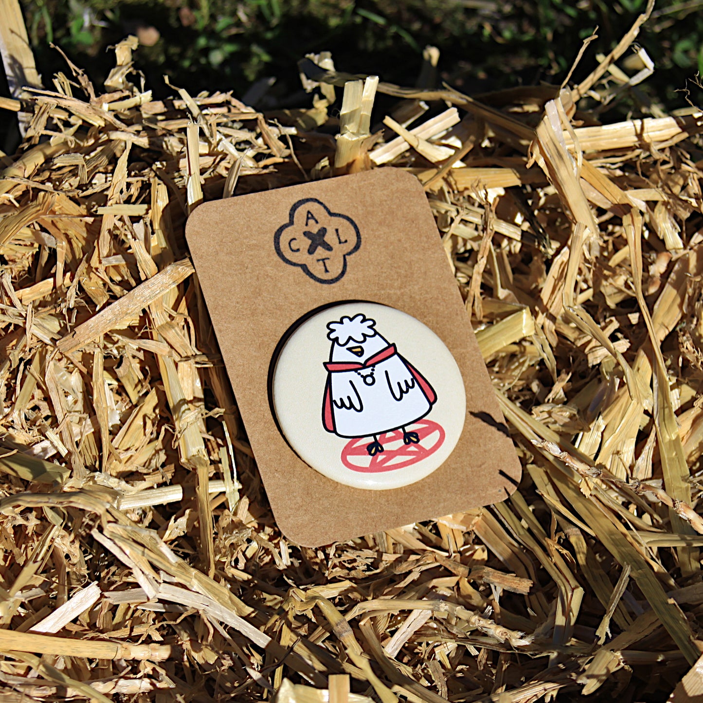 Chicken Squad Pin Badge (random 1 out of 6)