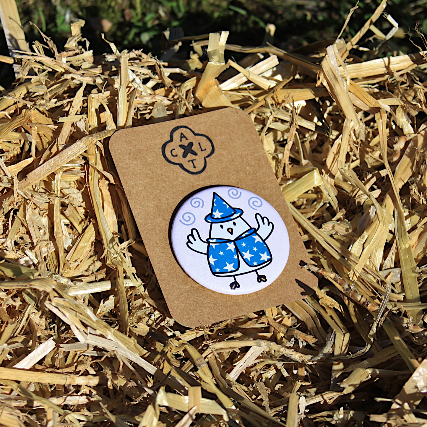 Chicken Squad Pin Badge (random 1 out of 6)